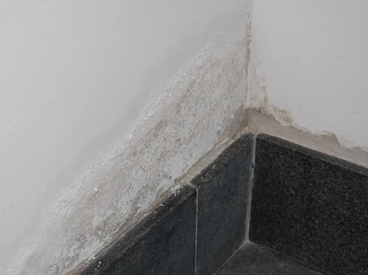 Ti senti secco o soffocante in casa? Ecco l’umidità perfetta per il tuo benessere e la tua salute