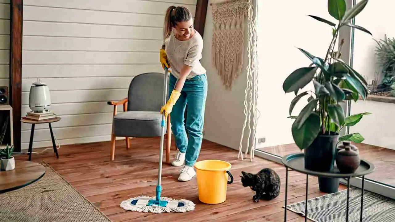 Casa nuova e sporca? Ecco da dove devi iniziare a pulire per non sprecare tempo ed energie