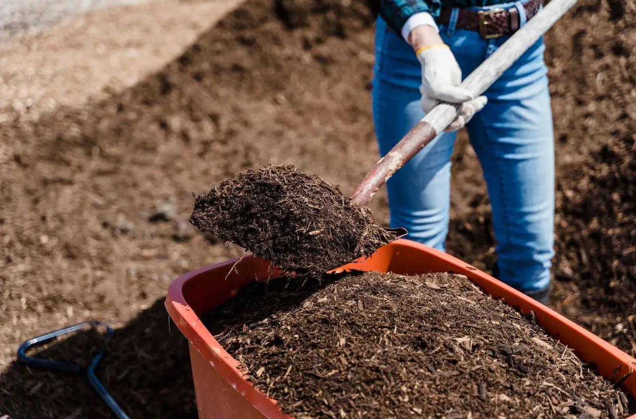 Che cos’è il taglio mulching? L’inventiva tecnica per non raccogliere l’erba ed avere un prato sempre perfetto
